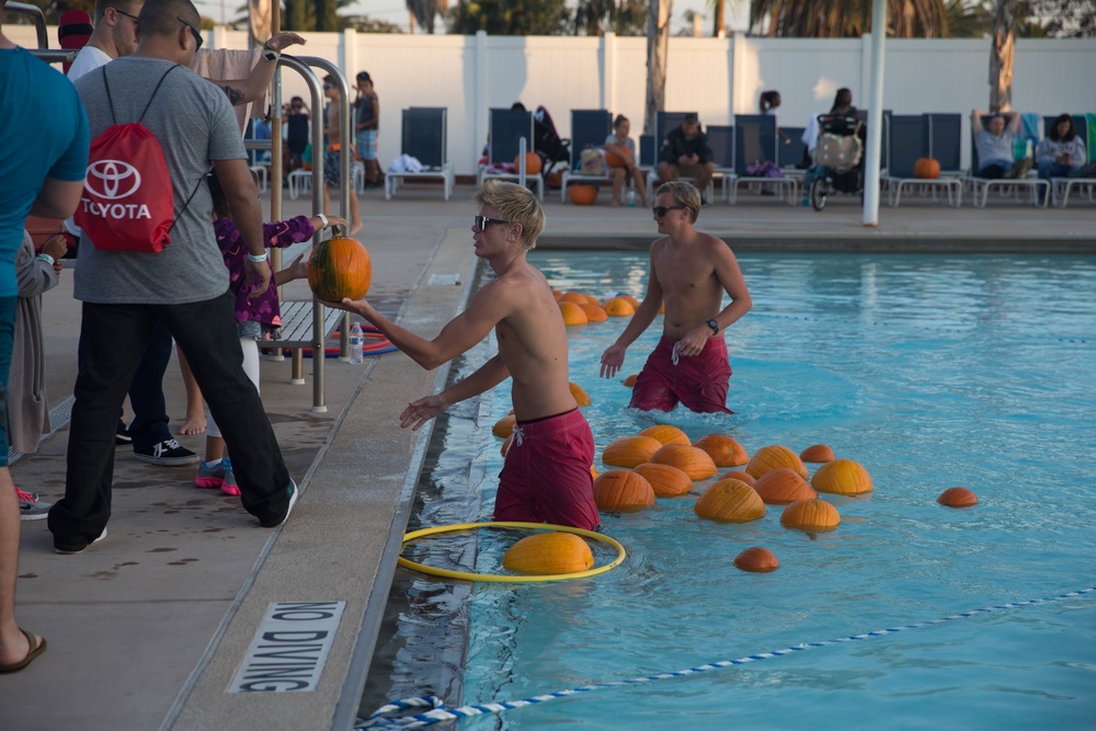 13 Area Pool Pumpkin Plummet