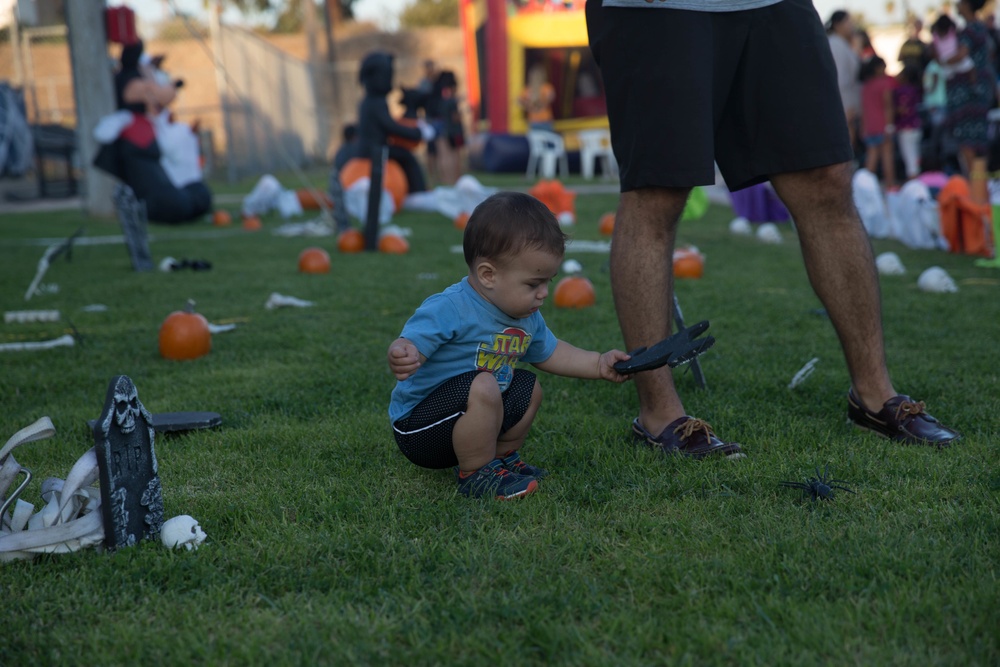 13 Area Pool Pumpkin Plummet