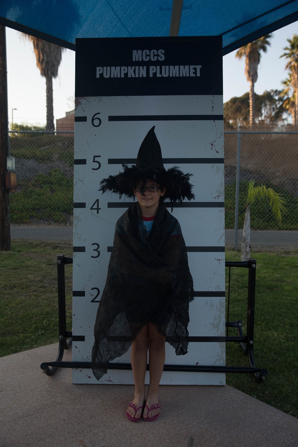 13 Area Pool Pumpkin Plummet