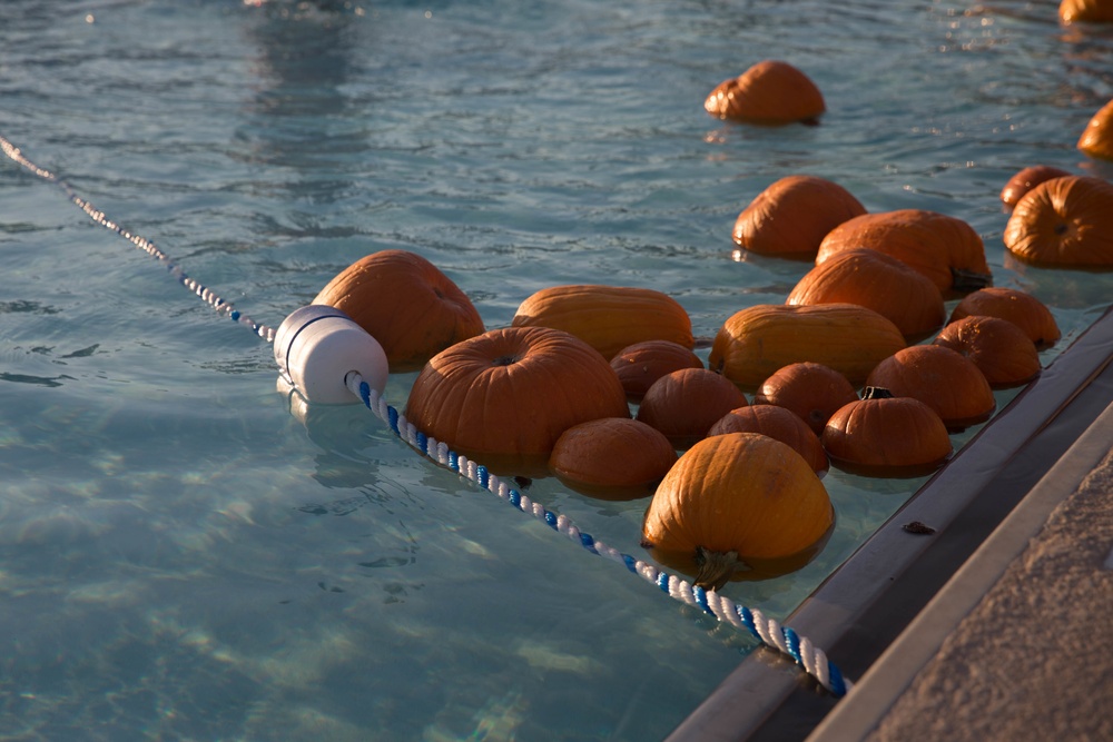13 Area Pool Pumpkin Plummet