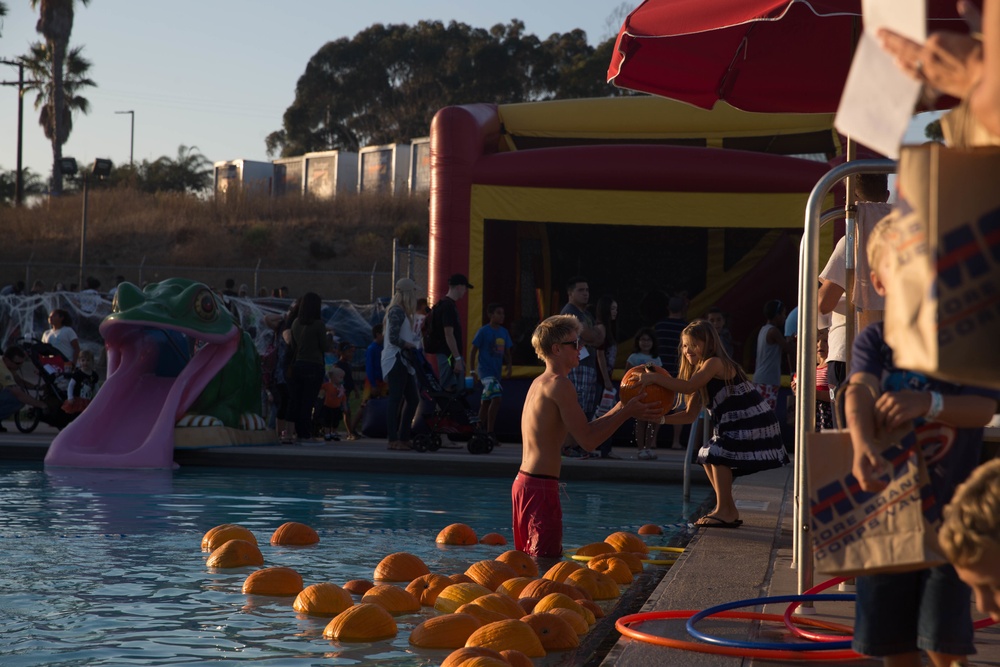 13 Area Pool Pumpkin Plummet