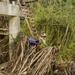 Hurricane Maria: Aid delivery to Utuado