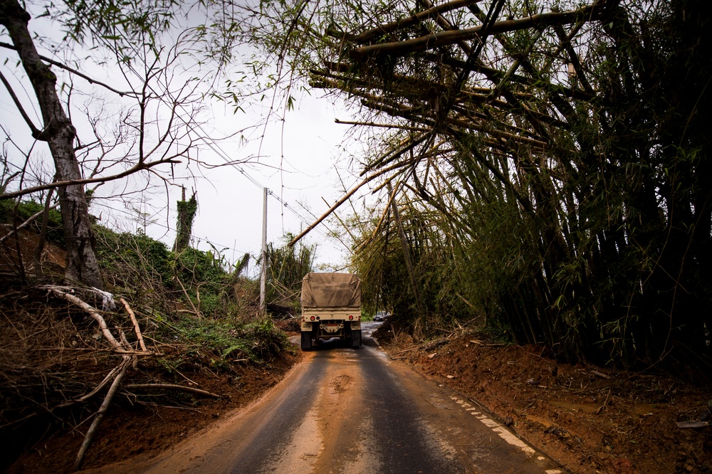 Hurricane Maria Relief Support: Bayamón Distribution Point