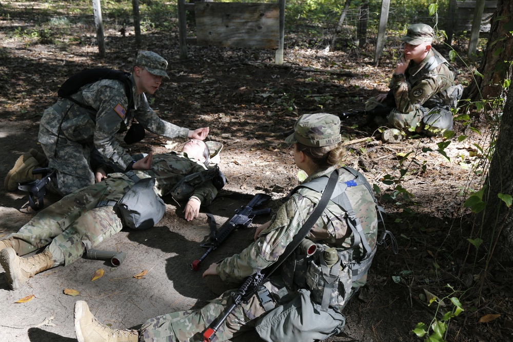 Expert Field Medical Badge 2017