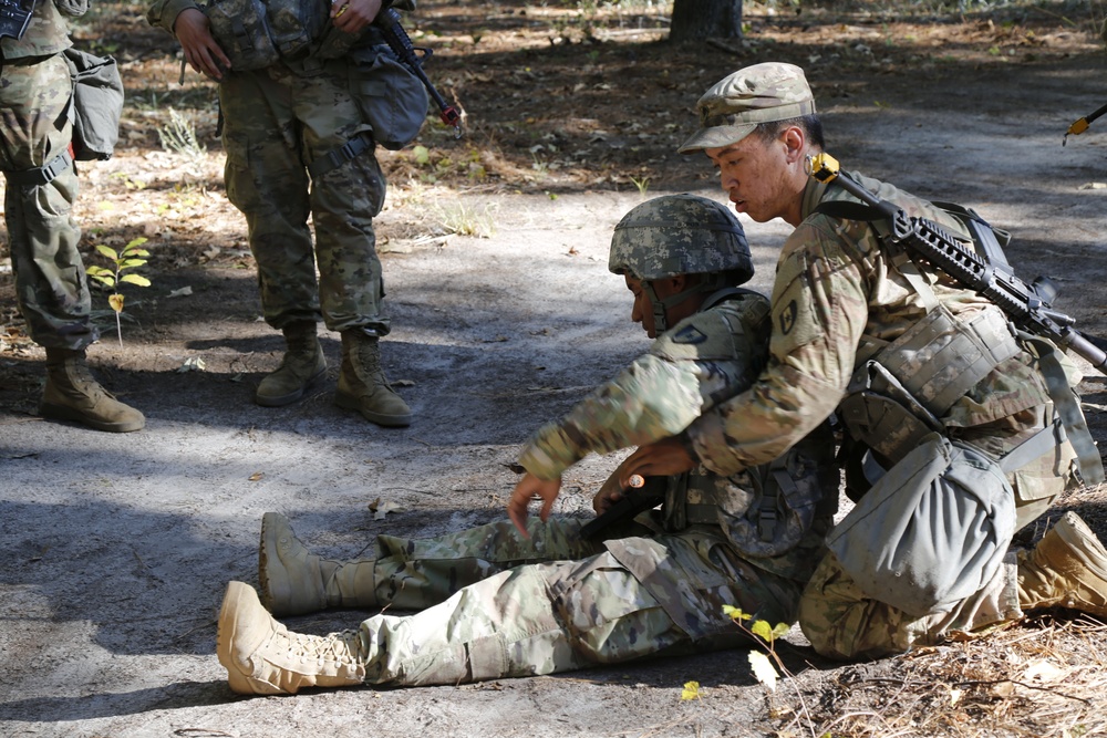Expert Field Medical Badge 2017