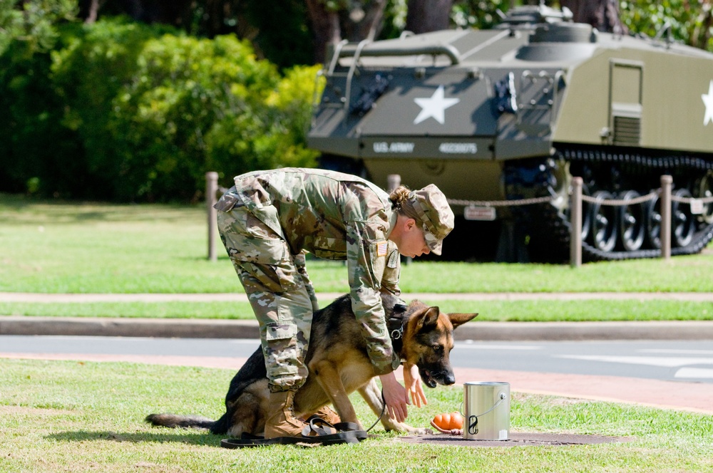 Schofield Barracks honors past with throwback day