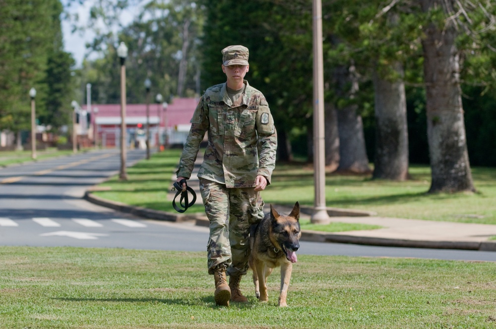 Schofield Barracks honors past with throwback day