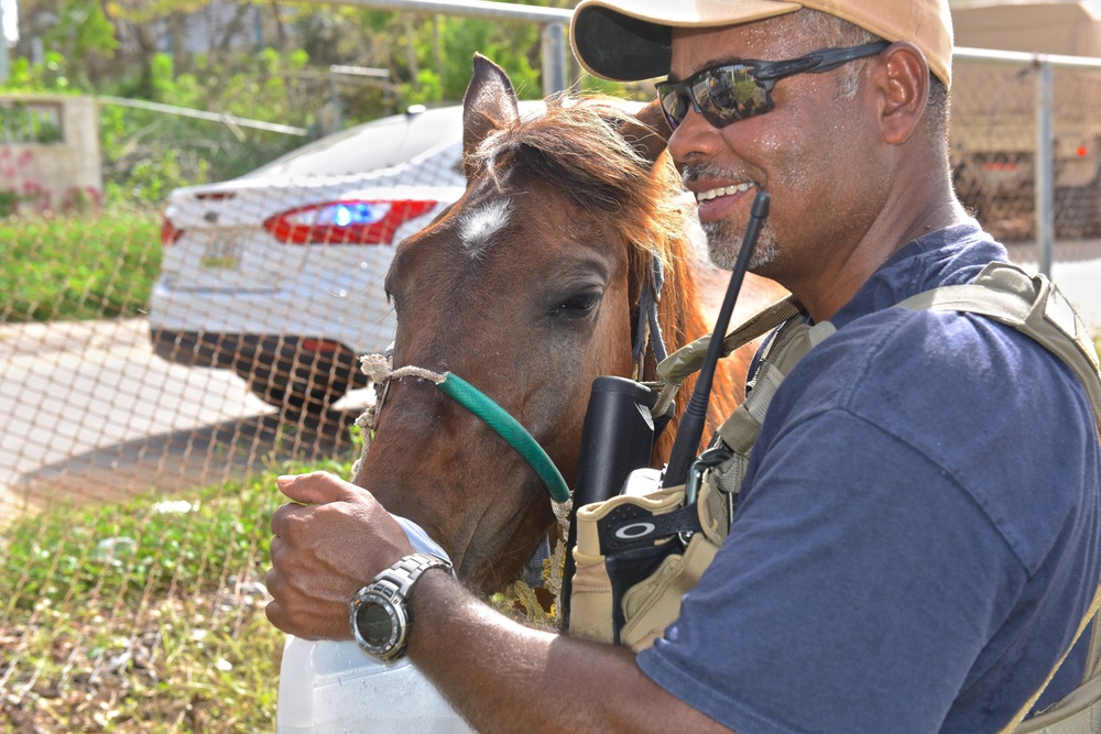 Hurricane Maria relief effort in Arecibo, Puerto Rico