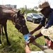 Hurricane Maria relief effort in Arecibo, Puerto Rico