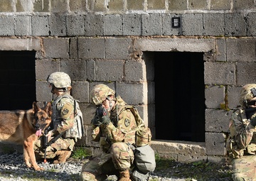 615th MP conducts culmination training