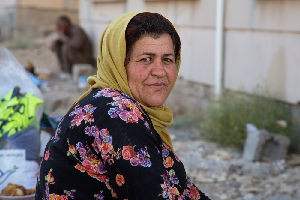 Kurdish internally displaced persons