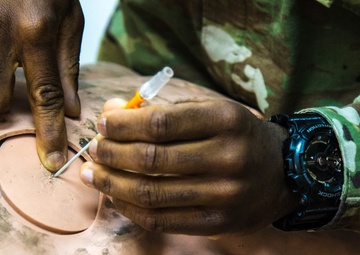 Soldiers learn lifesaving skills