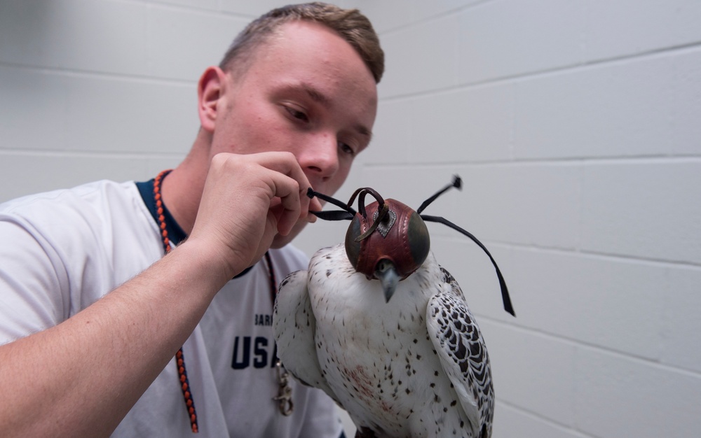 U.S. Air Force Academy falconry program