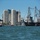 A historic tall ship, consistent in appearance with USS Constitution, sails in a harbor with a major city skyline in the background. The scene includes multiple vessels on choppy green water under a clear blue sky. A distinctive clock tower building, resembling Boston's Custom House Tower, is visible among the urban skyline.