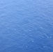 Coast Guard assesses Gulf of Mexico after oil discharge
