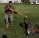 Marines Conduct MAI Course