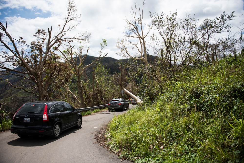 Hurricane Maria Relief Support