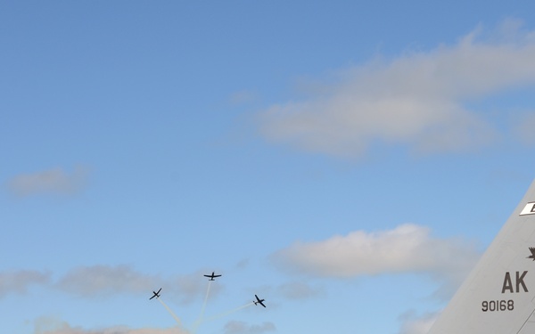 Southern Katipo underway in New Zealand