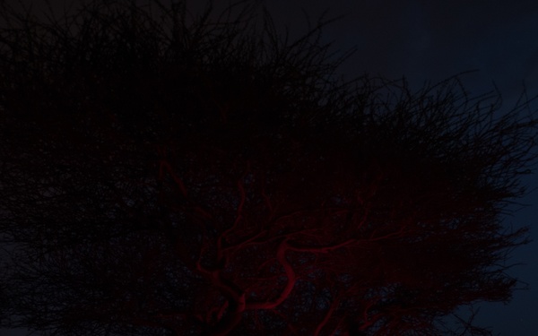 Army's PNT programs transition to PEO IEW&amp;S