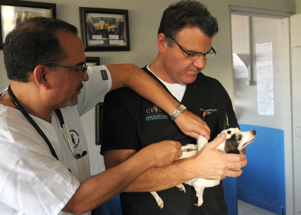 Department of health, veterinary college provides free vaccinations for refuged pets in Puerto Rico