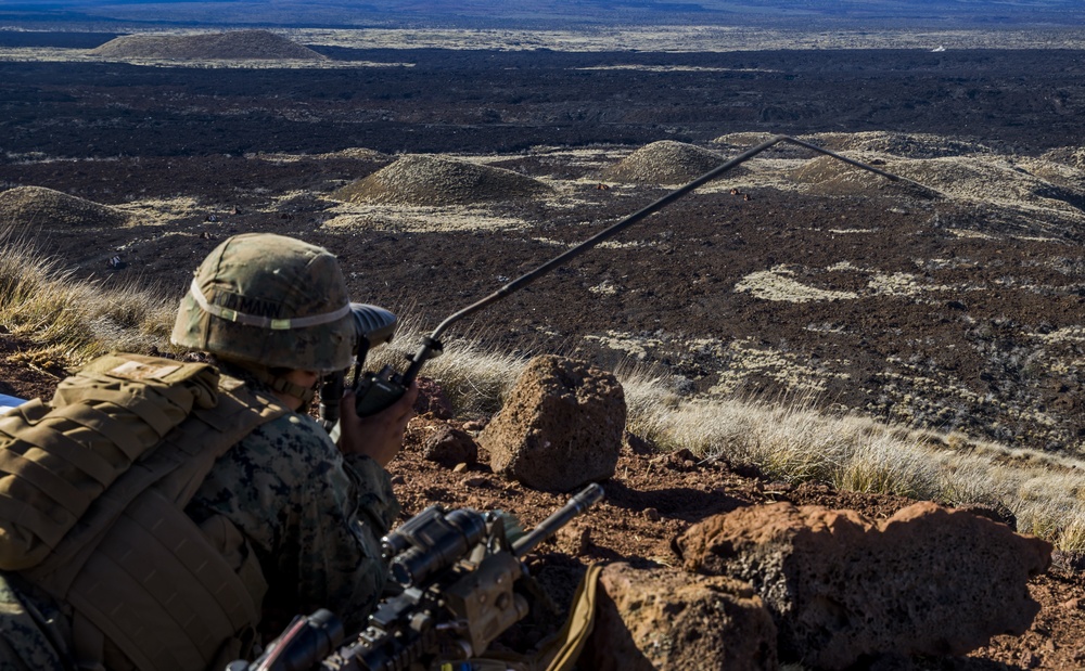 U.S. Marines with 2nd Battalion, 3rd Marines call for fire