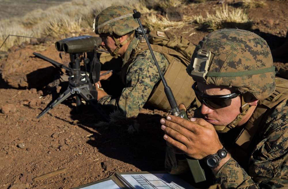 dvids-images-u-s-marines-with-2nd-battalion-3rd-marines-call-for-fire-image-5-of-5