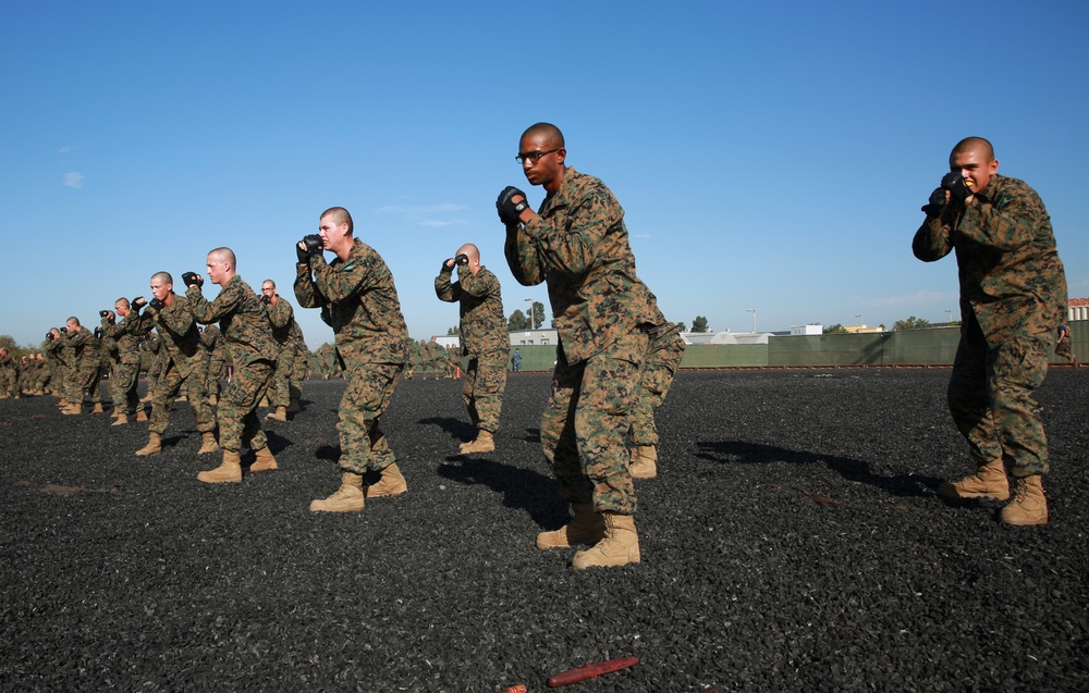 Mike Company - MCMAP Test