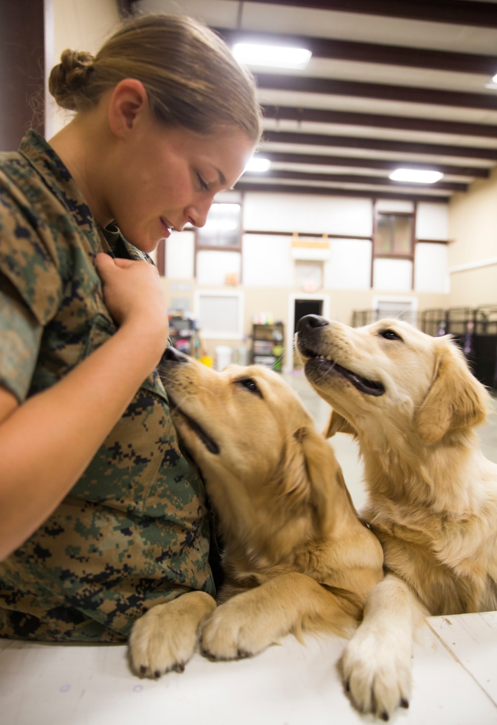 Paws for Purple Hearts