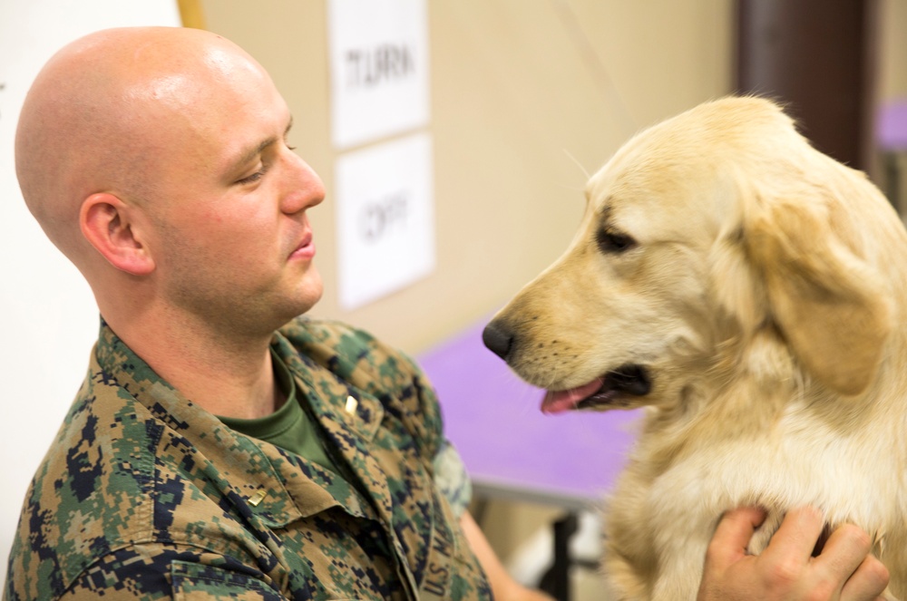 Paws for Purple Hearts