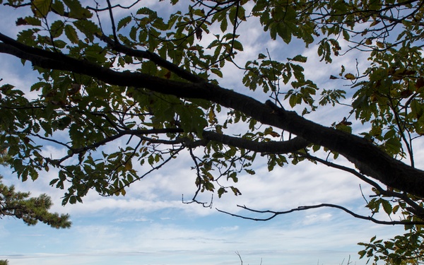 CIB OLD RAG MOUNTAIN HIKE