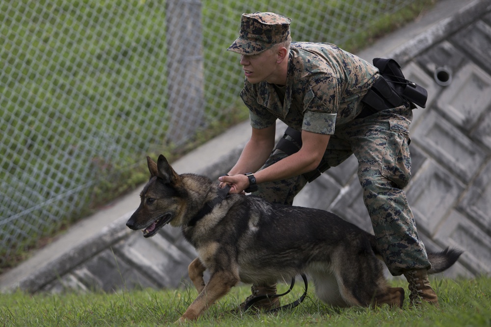 MCIPAC PMO’s K-9 holds K-9 demonstration for OPP