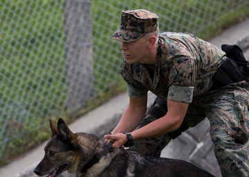 MCIPAC PMO’s K-9 holds K-9 demonstration for OPP