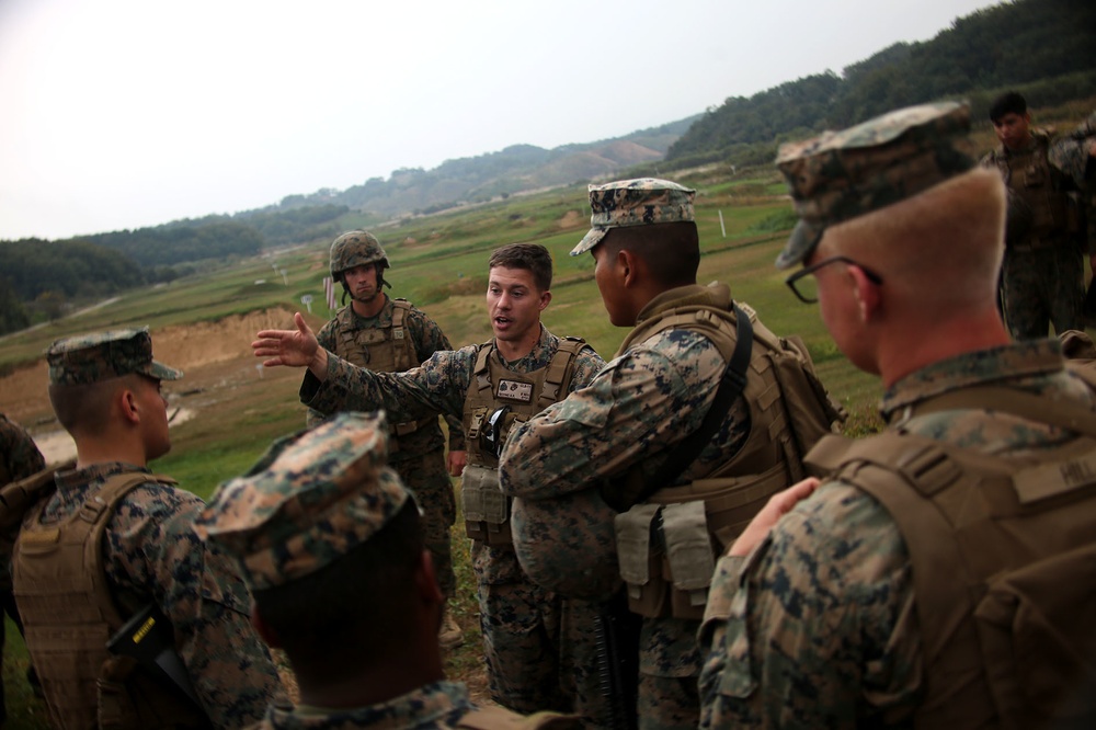 MASS-2 Marines conduct live-fire range during Midori Guardian 17