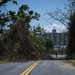 Hurricane Maria: Construction in Toa Baja