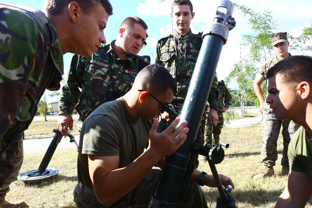 Military-To-Military