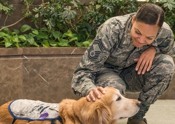 A golden opportunity for Domestic Violence Awareness Month outreach