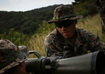 Once you go Swedish...