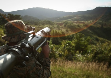 Once you go Swedish...