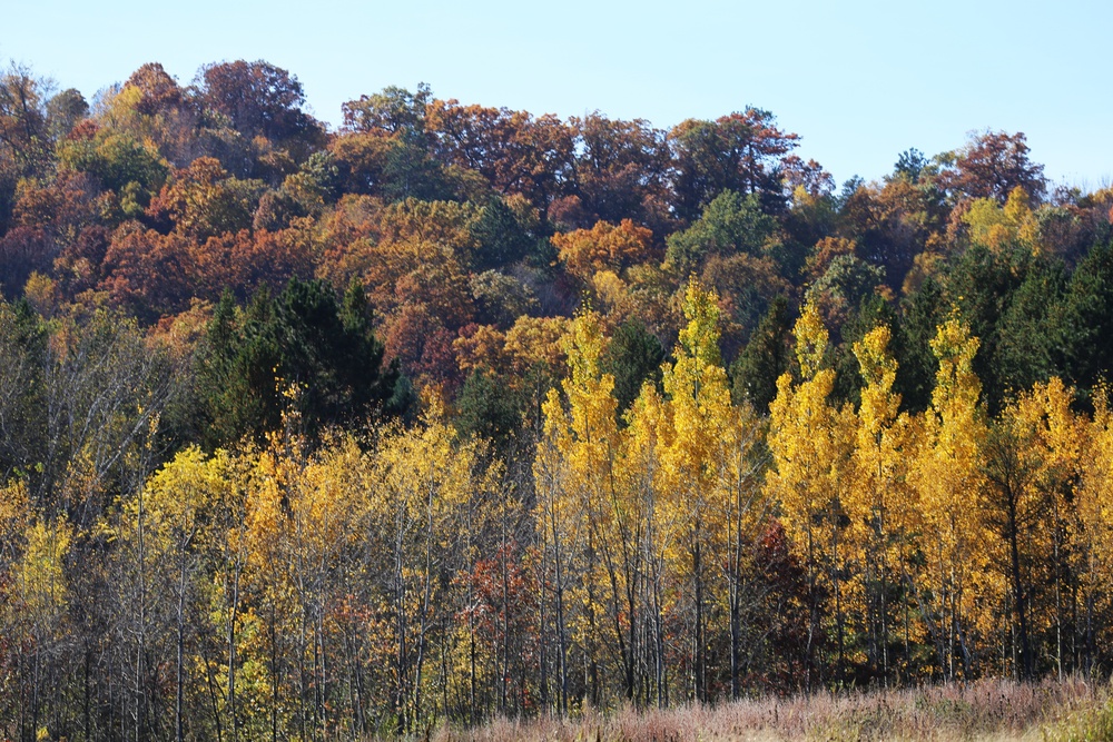 Fall 2017 Fort McCoy colors