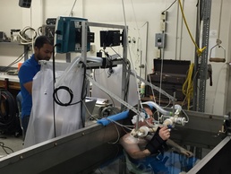 Oxygen Toxicity Research