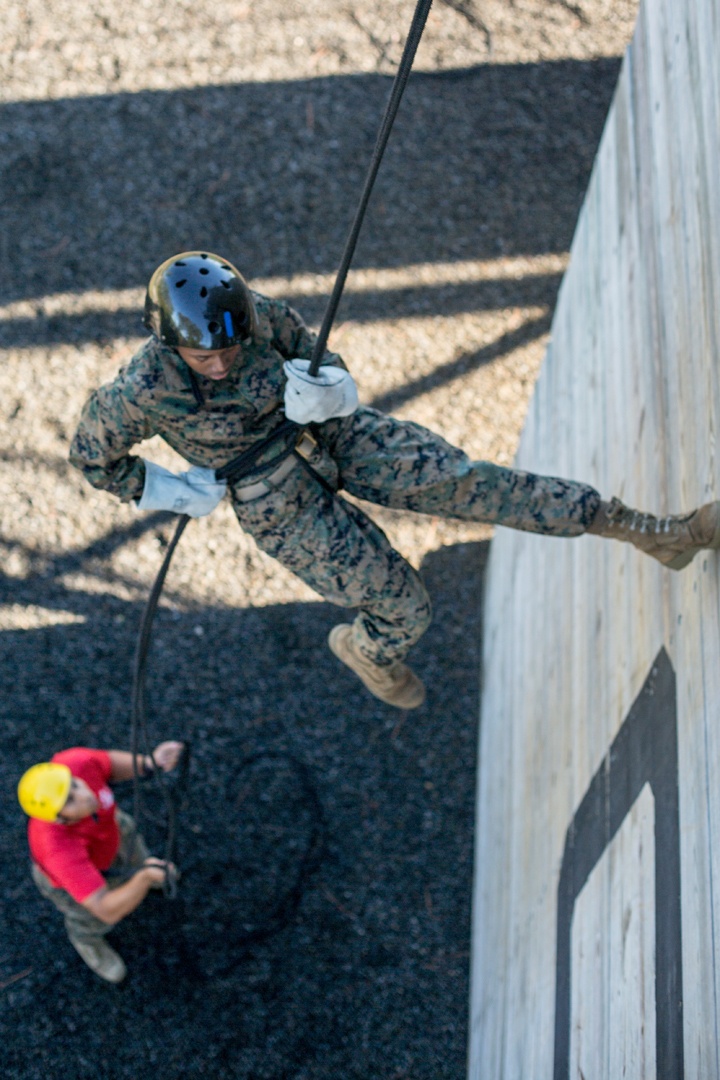 Marine recruits overcome fears, build confidence on Parris Island rappel tower