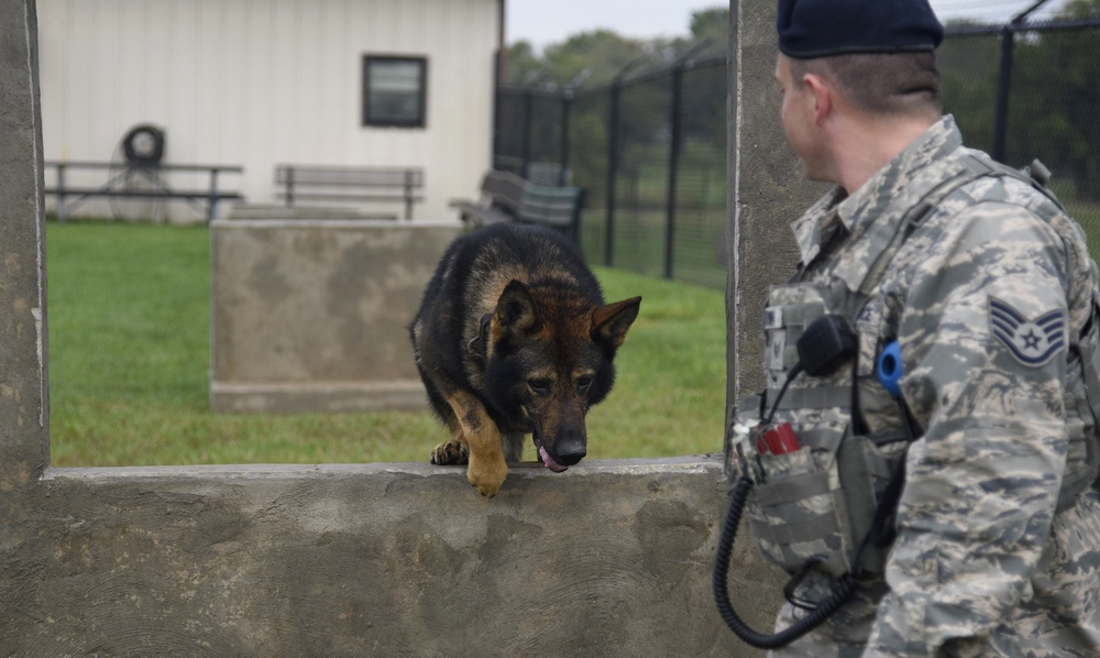 New training equipment increases MWD readiness