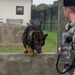 New training equipment increases MWD readiness