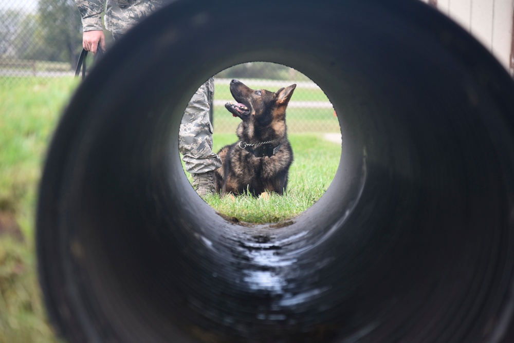 New training equipment increases MWD readiness