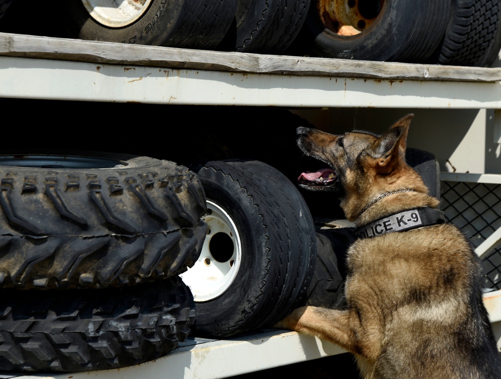 Military working dog detection training