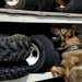 Military working dog detection training