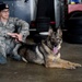 Military working dog detection training