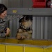 Military working dog detection training