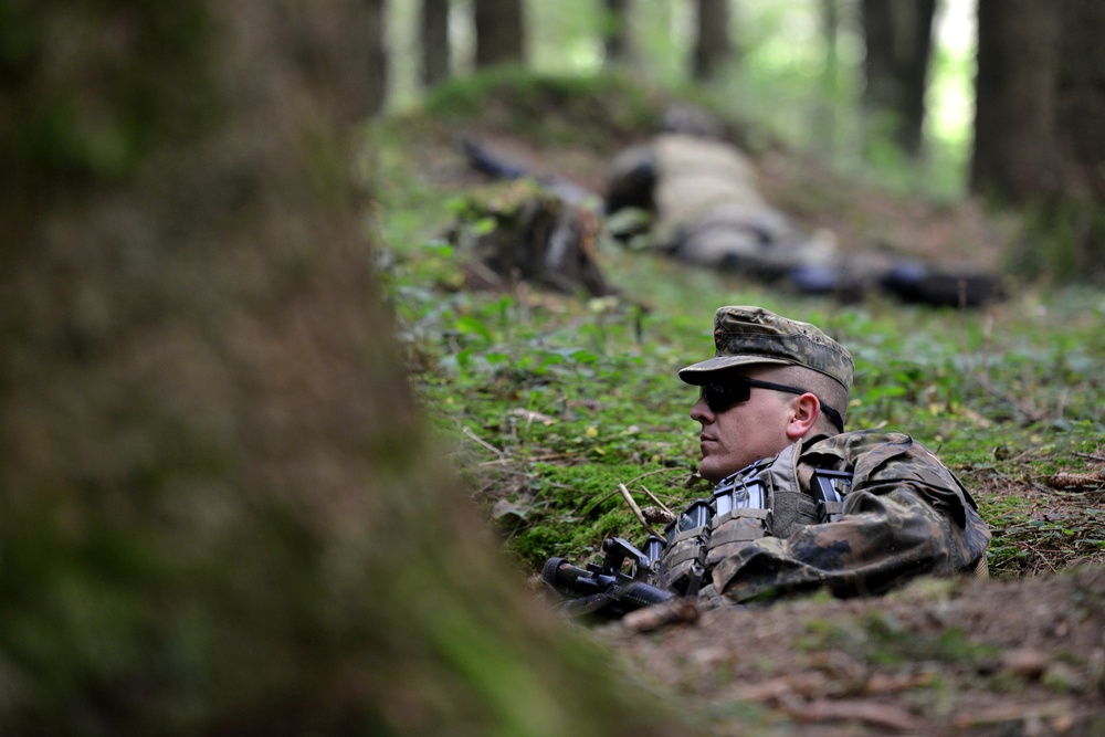 Multinational Medical Training in Germany