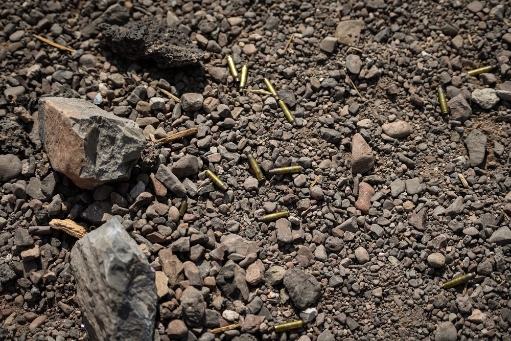 Soldiers train reflexive firing tactics